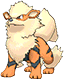 Arcanine Arcanine