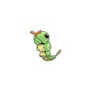 Caterpie Caterpie