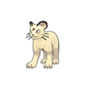 Persian Persian