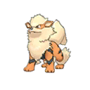 Arcanine Arcanine