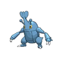 Heracross Heracross