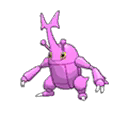 Heracross Heracross