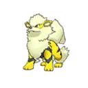 Arcanine Arcanine